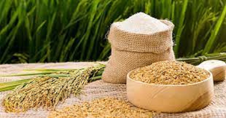 Giá lúa gạo hôm nay 2/10/2023: Tăng giảm trái chiều