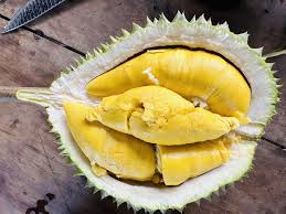 Giá sầu riêng hôm nay ngày 27/9/2023: Đi ngang