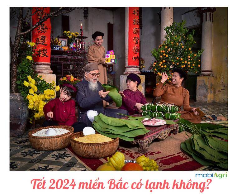 Thoi-tiet-Tet-Nguyen-dan-2024-5