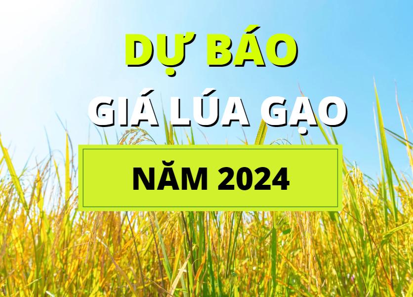 du-bao-gia-lua-gao-2024-2