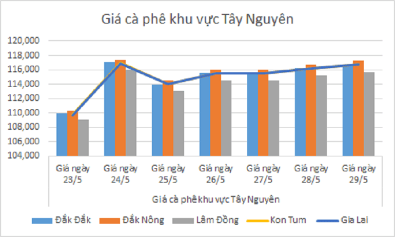 Biểu đồ giá cà phê ngày 29.5.2024