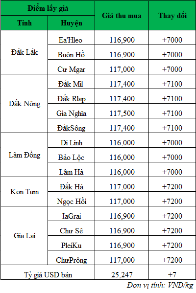 Giá cà phê hôm nay, giá cà phê mới nhất ngày 24/5/2024