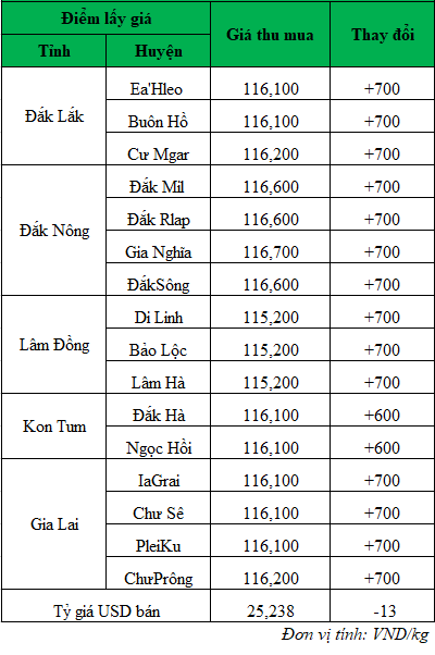 Giá cà phê hôm nay, giá cà phê mới nhất ngày 28/5/2024