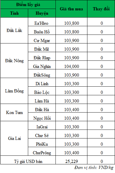 Giá cà phê hôm nay ngày 20/5/2024