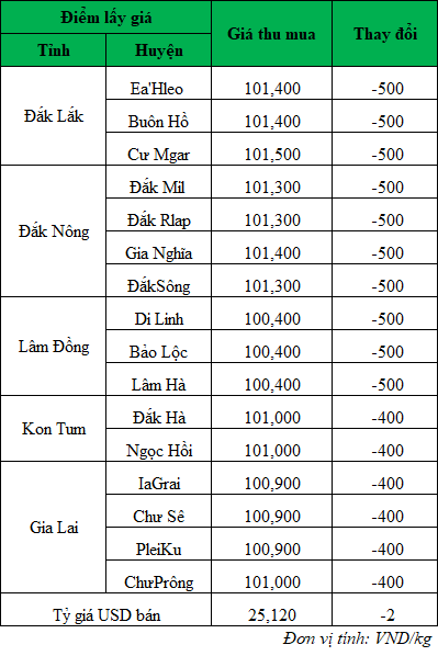 Giá cà phê hôm nay ngày 17/5/2024