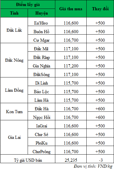 Giá cà phê hôm nay ngày 29/5/2024