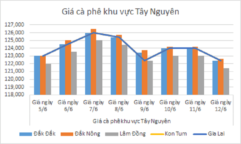 Biểu đồ giá cà phê ngày 12/6/2024