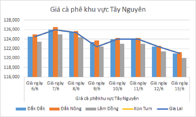 Biểu đồ giá cà phê ngày 13.6.2024