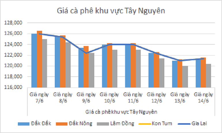 Biểu đồ giá cà phê ngày 14.6.2024