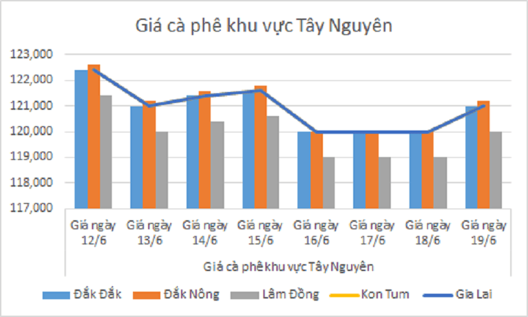 Biểu đồ giá cà phê ngày 19.6.2024