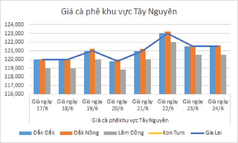 Biểu đồ giá cà phê ngày 24.6.2024