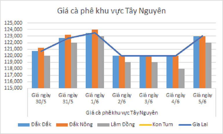 Biểu đồ giá cà phê ngày 5.6.2024