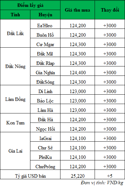 Giá cà phê hôm nay ngày 26/6/2024