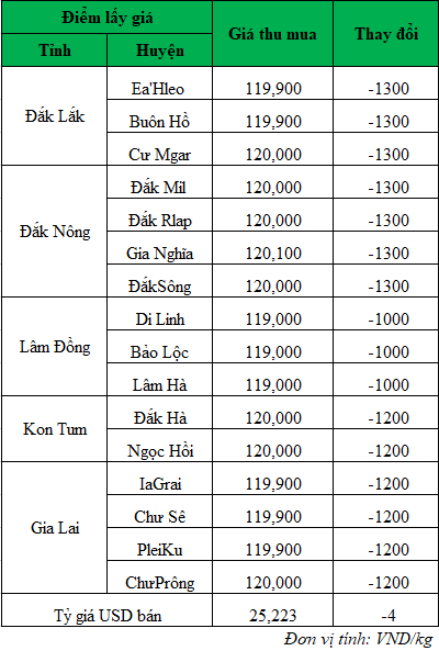 Giá cà phê hôm nay ngày 28/6/2024