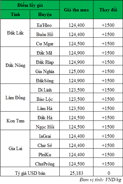 Giá cà phê hôm nay, giá cà phê trong nước ngày 6/6/2024