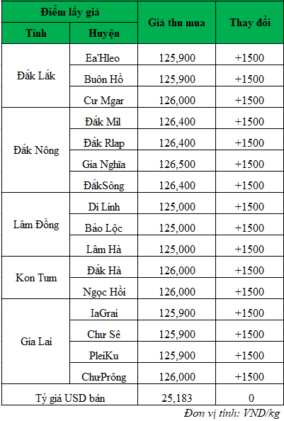 Giá cà phê hôm nay, giá cà phê mới nhất ngày 7/6/2024