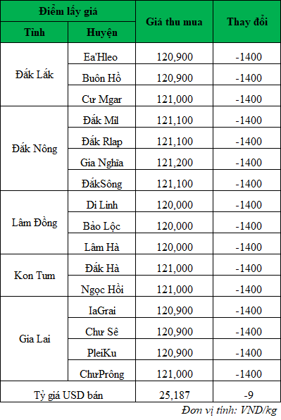 Giá cà phê hôm nay, giá cà phê trong nước ngày 13/6/2024