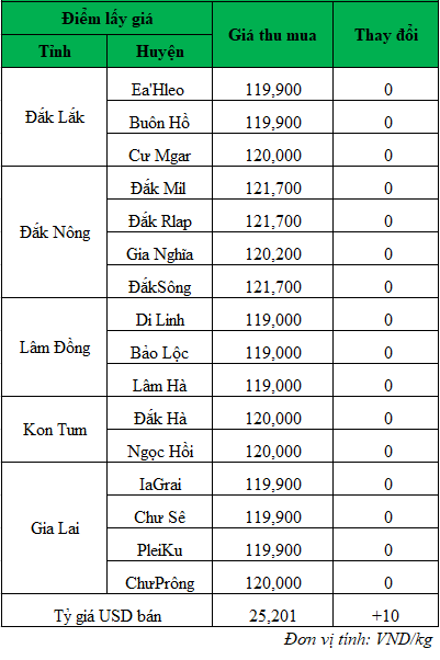 Giá cà phê hôm nay, giá cà phê trong nước ngày hôm nay 18/6/2024