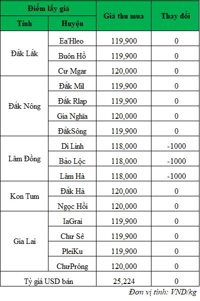 Giá cà phê hôm nay ngày 4/6/2024