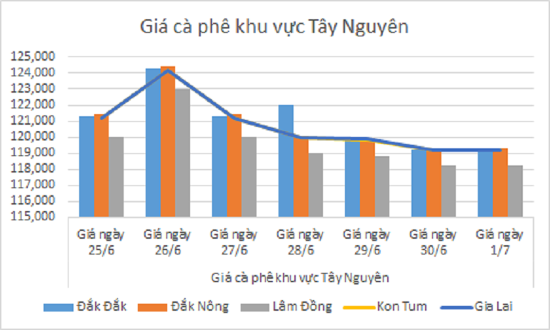 Biểu đồ giá cà phê ngày 1.7.2024