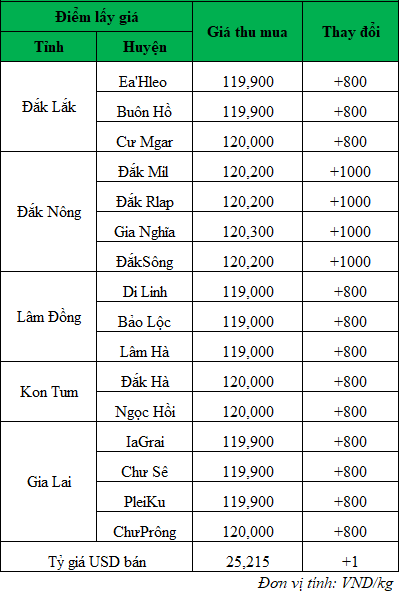 Giá cà phê trong nước hôm nay ngày 2/7/2024