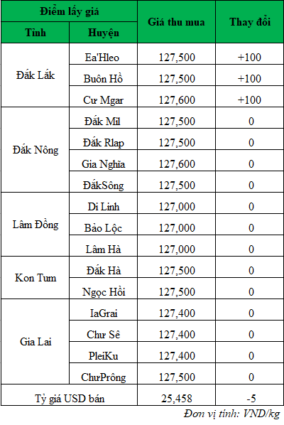 Giá cà phê hôm nay, giá cà phê trong nước mới nhất