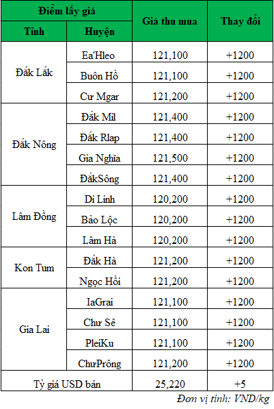 Giá cà phê hôm nay, giá cà phê trong nước ngày 3/7/2024