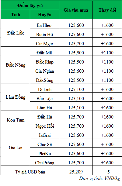 Giá cà phê hôm nay ngày 10/7/2024