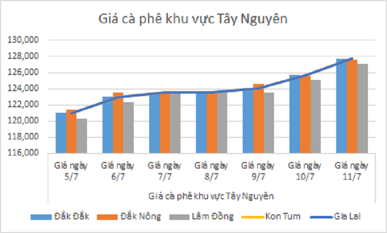 Giá cà phê hôm nay, biểu đồ giá cà phê tại khu vực Tây Nguyên