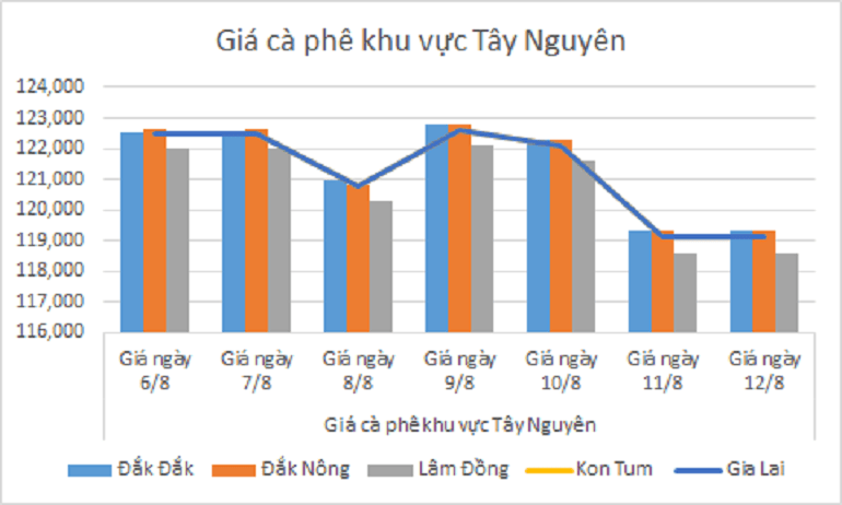 Bảng giá cà phê ngày 12.8.2024