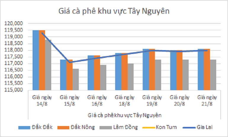 Biểu đồ giá cà phê ngày 21.8.2024