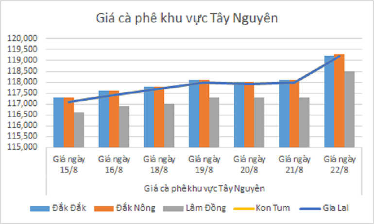 Biểu đồ giá cà phê ngày 22.8.2024