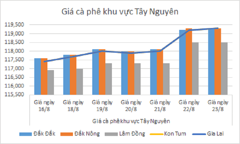 Biểu đồ giá cà phê ngày 23.8.2024