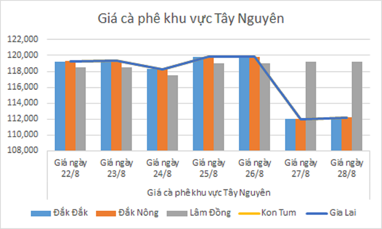 Biểu đồ giá cà phê ngày 28.8.2024