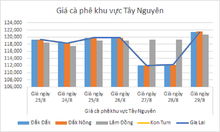 Biểu đồ giá cà phê ngày 29.8.2024