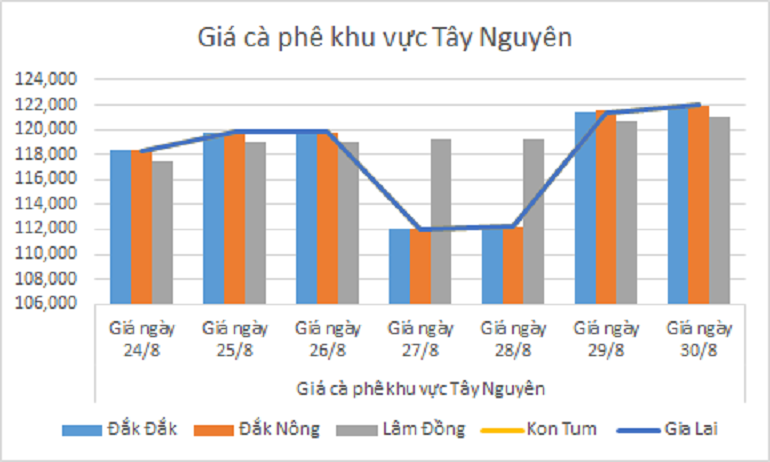 Biểu đồ giá cà phê ngày 30.8.2024