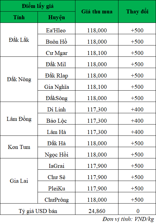 Giá cà phê trong nước ngày 19/8/2024