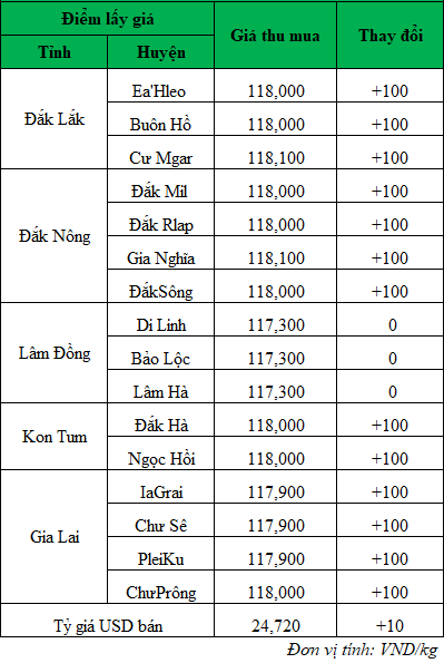 Giá cà phê hôm nay, giá cà phê trong nước mới nhất