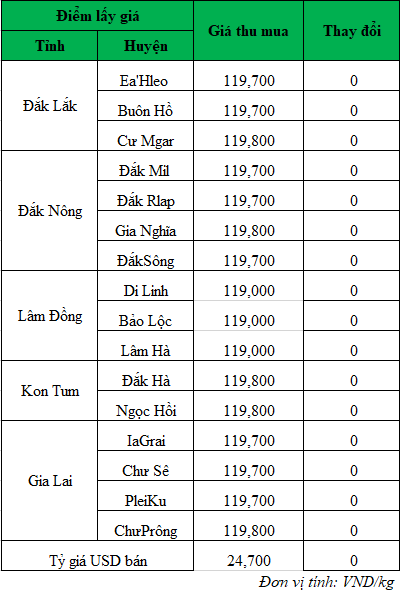 Giá cà phê hôm nay, dự báo thời tiết mới nhất ngày 26/8/2024