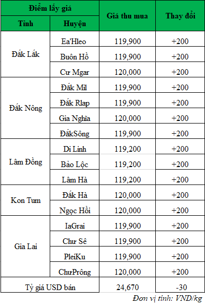 Giá cà phê hôm nay tại thị trường trong nước