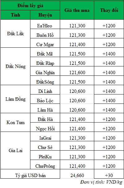 Giá cà phê hôm nay tăng mạnh