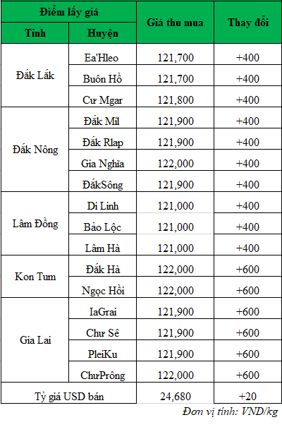 Giá cà phê hôm nay ngày 30/8/2024