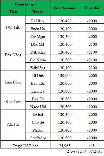 Giá cà phê hôm nay, giá cà phê mới nhất