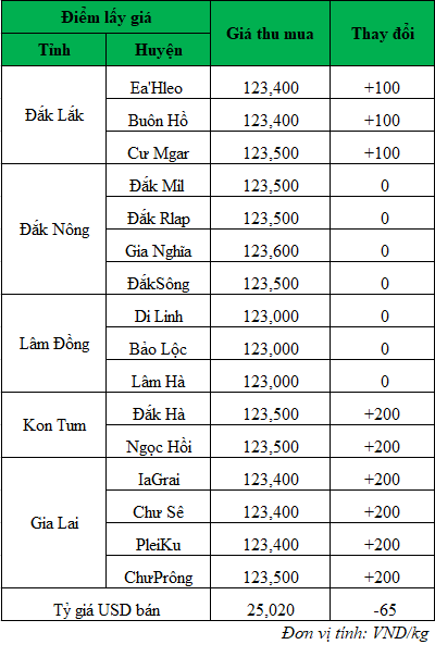 Giá cà phê hôm nay, giá cà phê mới nhất