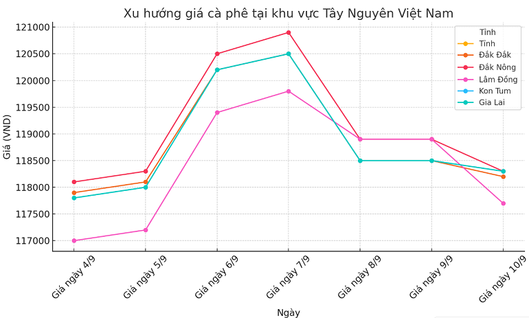 Biểu đồ giá cà phê ngày 10.9.2024