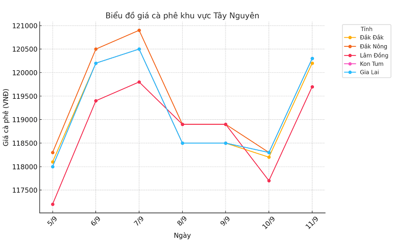 Biểu đồ giá cà phê ngày 11.9.2024