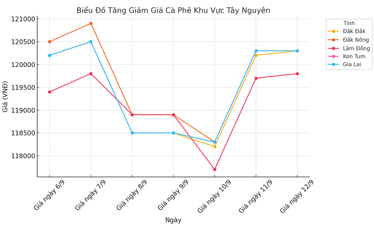 Biểu đồ giá cà phê ngày 12.9.2024