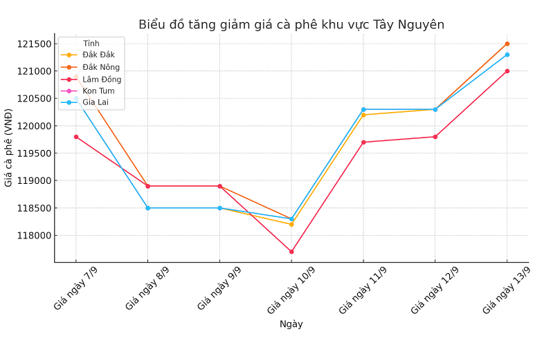 Biểu đồ giá cà phê ngày 13.9.2024