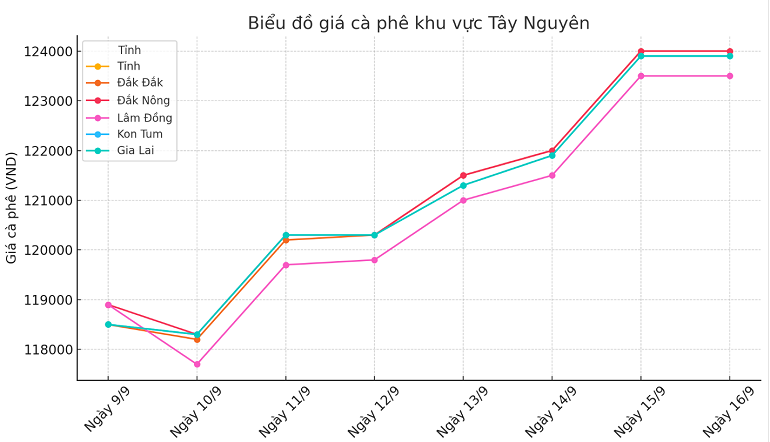 Biểu đồ giá cà phê ngày 16.9.2024