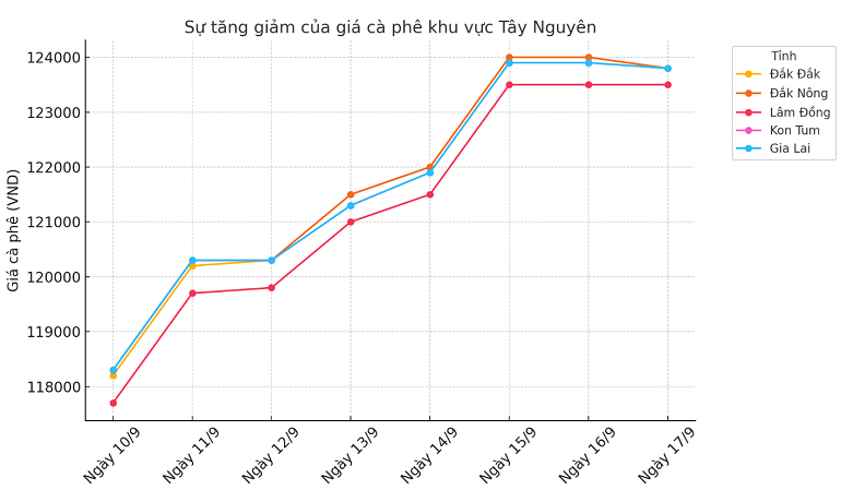 Biểu đồ giá cà phê ngày 17.9.2024